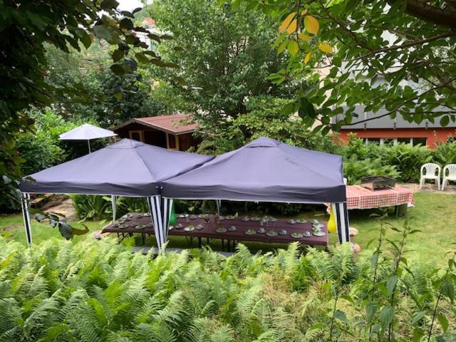 Hotel Sonnenhof บาดวิลด์บาด ภายนอก รูปภาพ