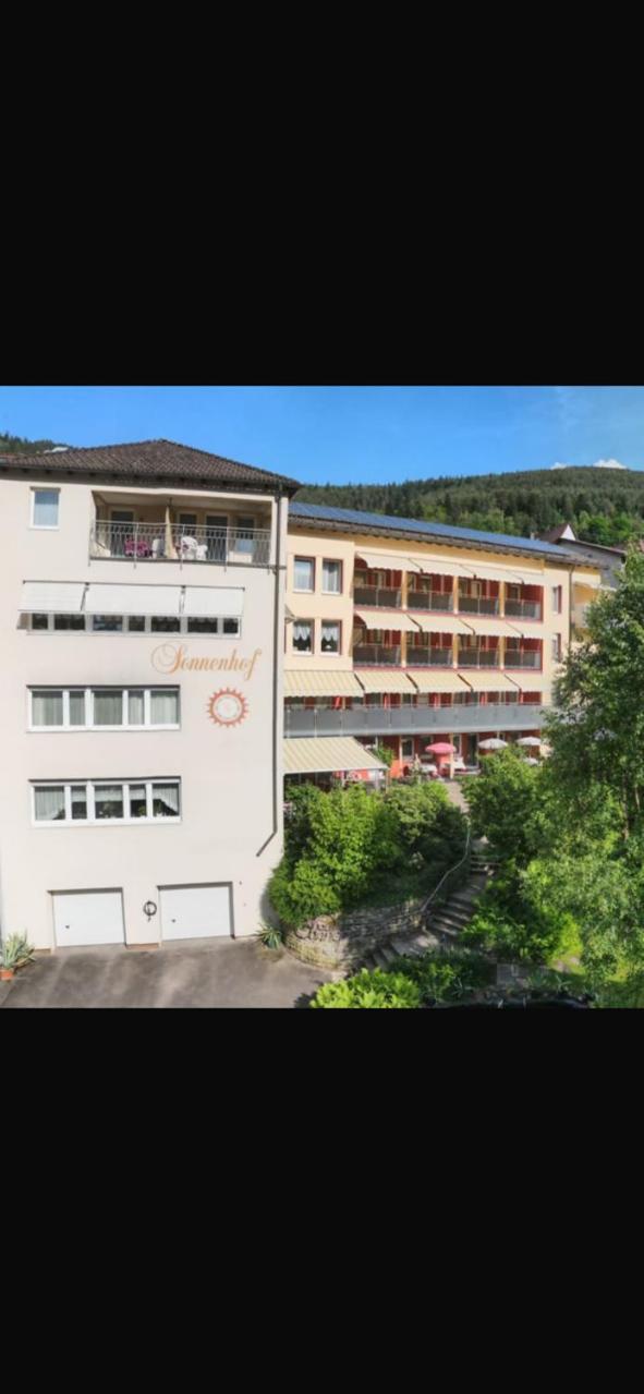 Hotel Sonnenhof บาดวิลด์บาด ภายนอก รูปภาพ